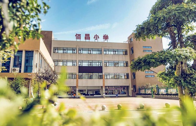 武汉盘龙城经济开发区第三小学（佰昌小学）