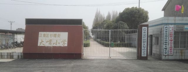 武汉市汉南区纱帽街大嘴小学