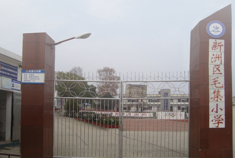 武汉市新洲区阳逻街毛集小学