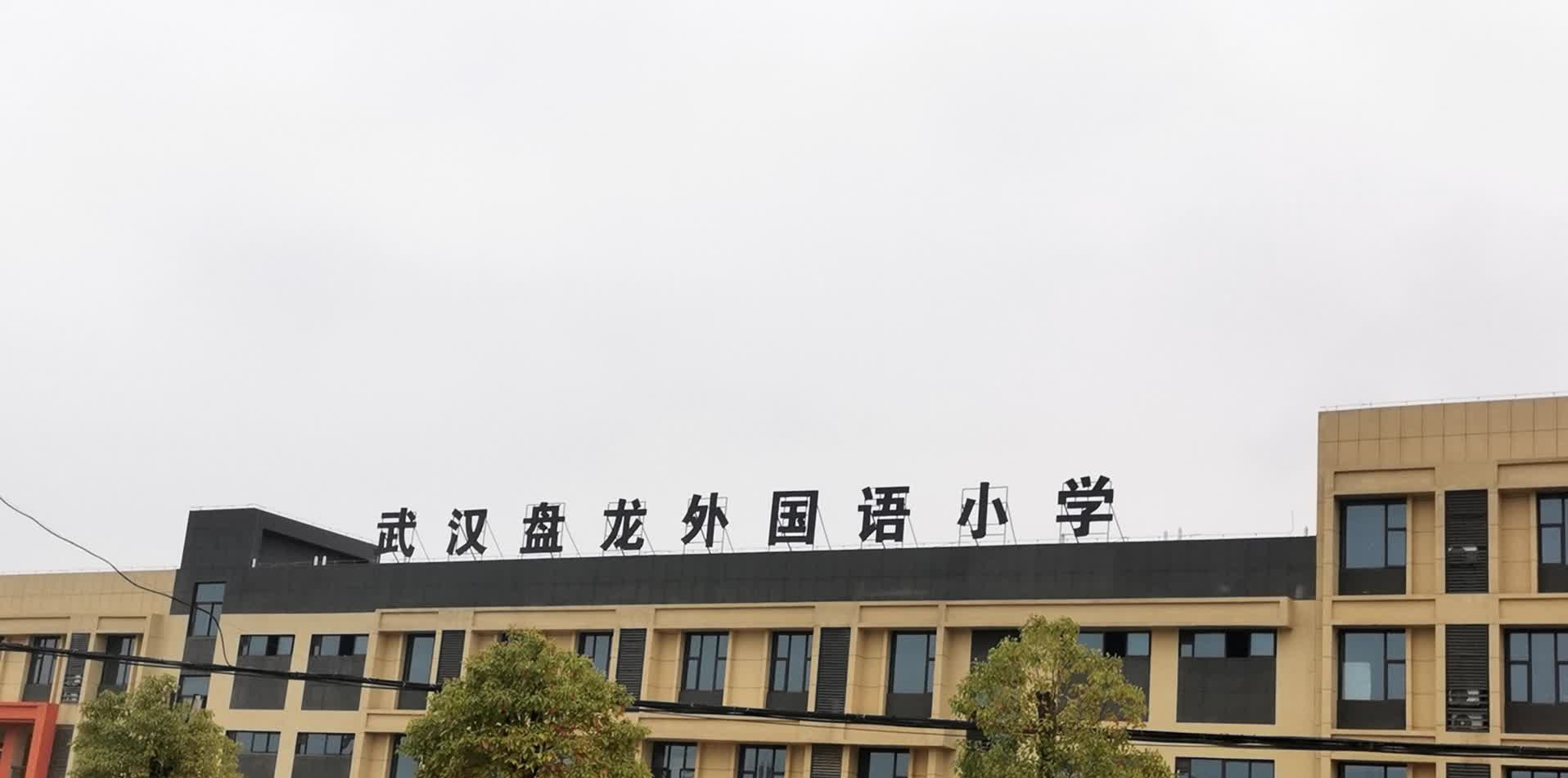 武汉盘龙城经济开发区外国语小学