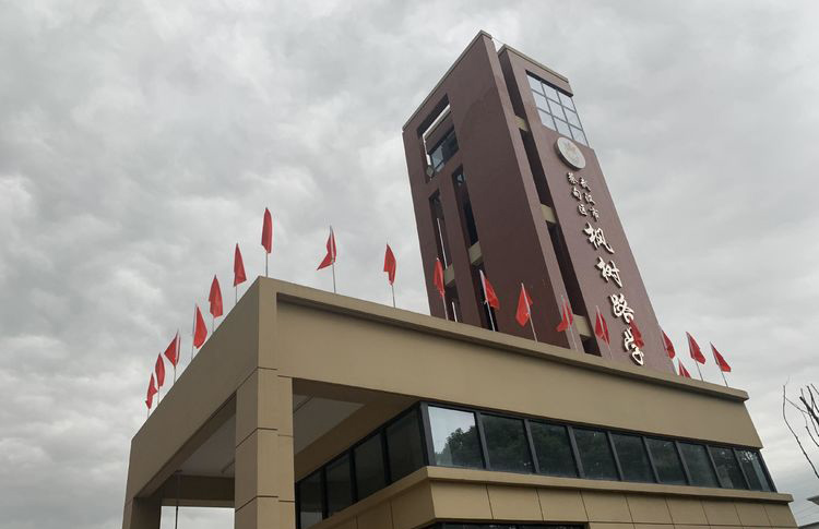 武汉市蔡甸区枫树路学校