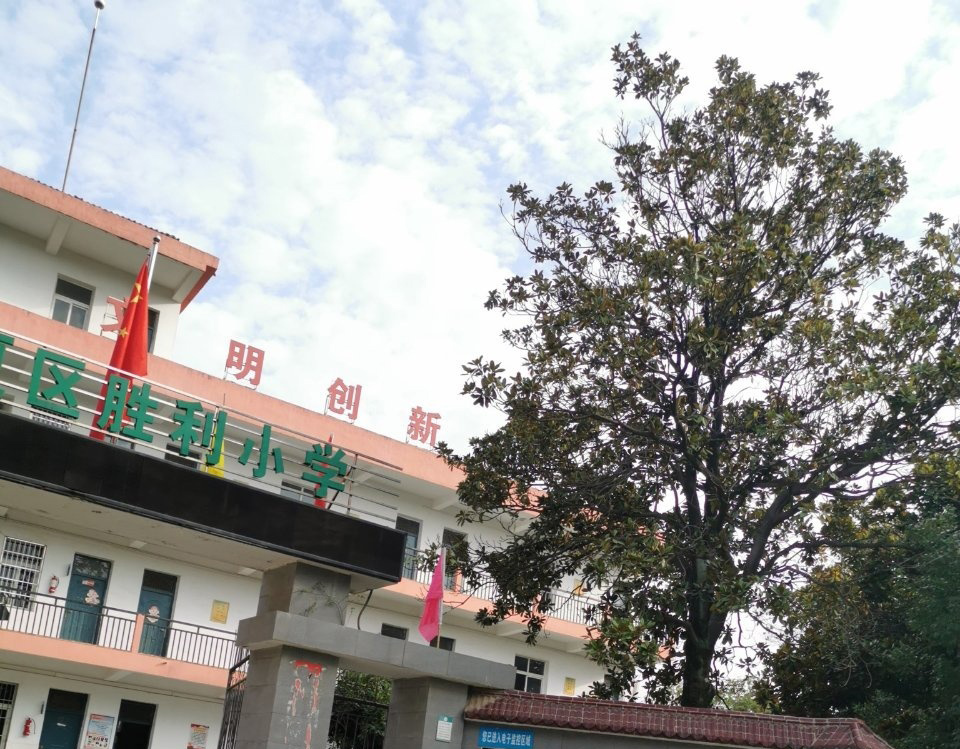 武汉市江夏区纸坊胜利小学