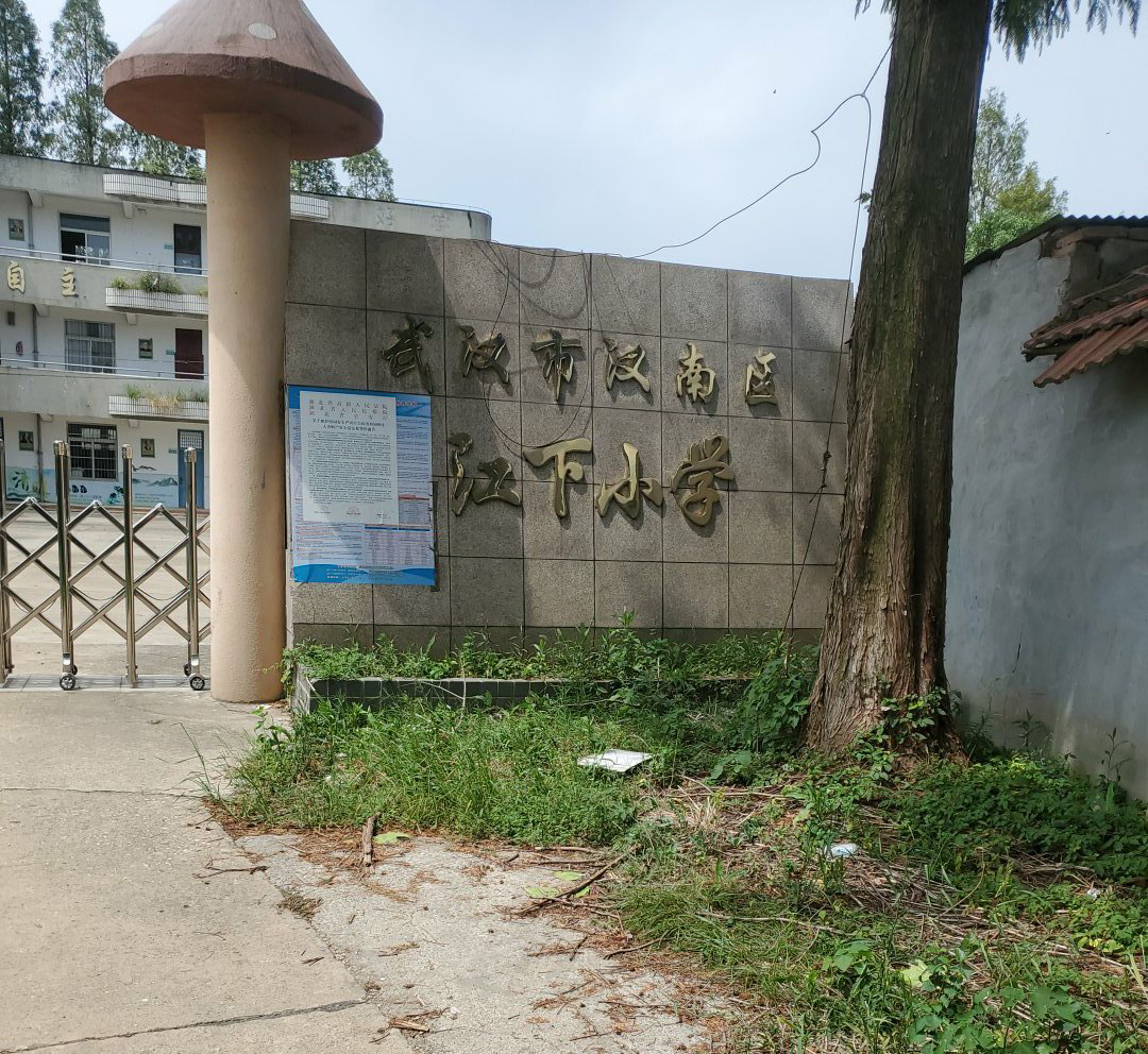 武汉市汉南区纱帽街江下小学