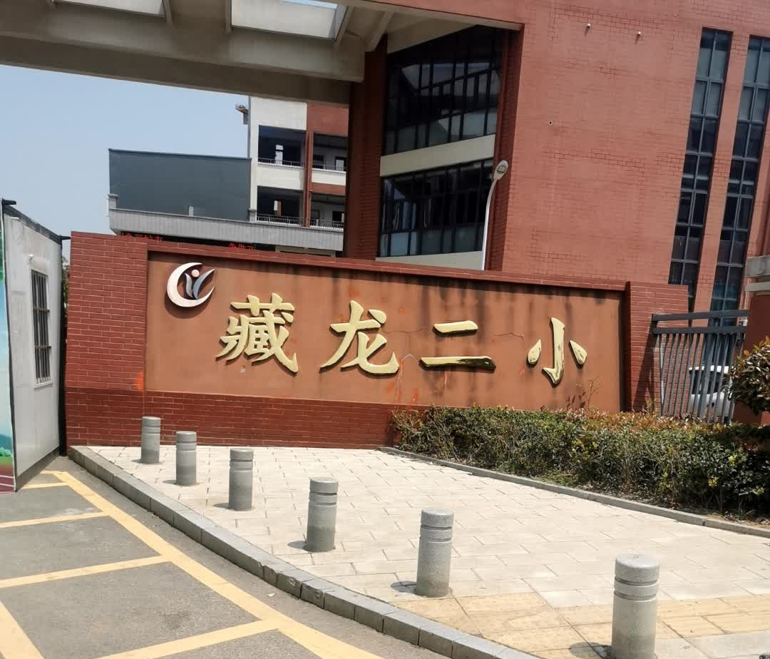 武汉市江夏区藏龙第二小学