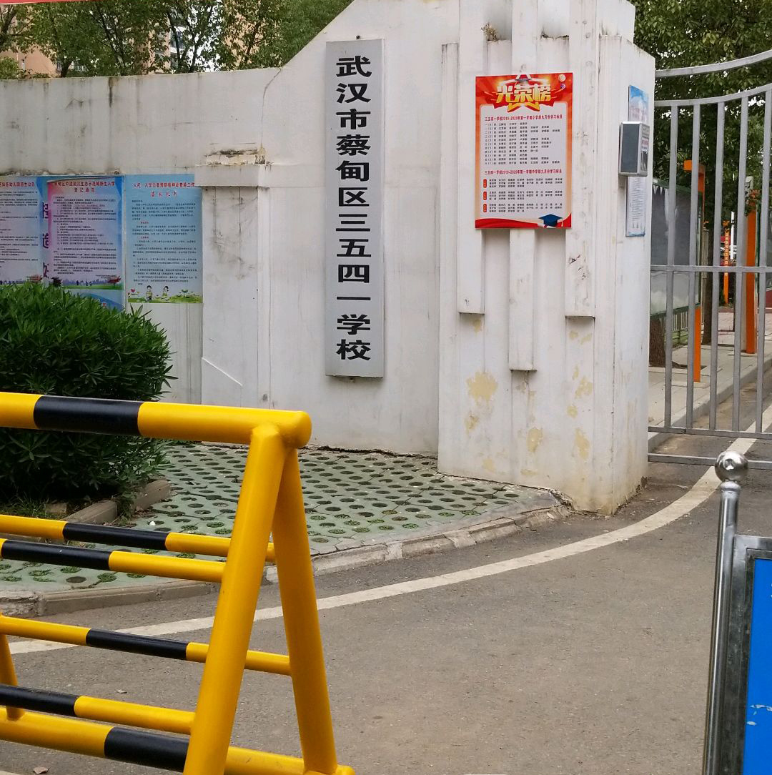 武汉市蔡甸区三五四一学校（小学）
