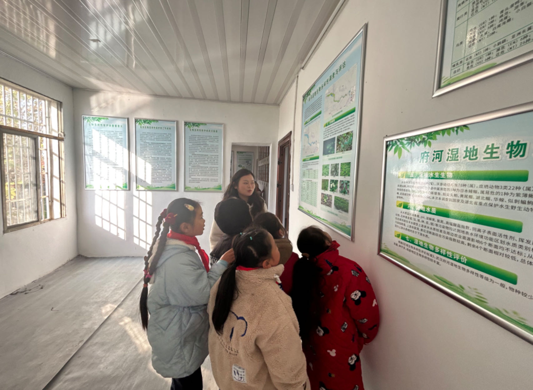 武汉市新洲区双柳街涨渡湖小学