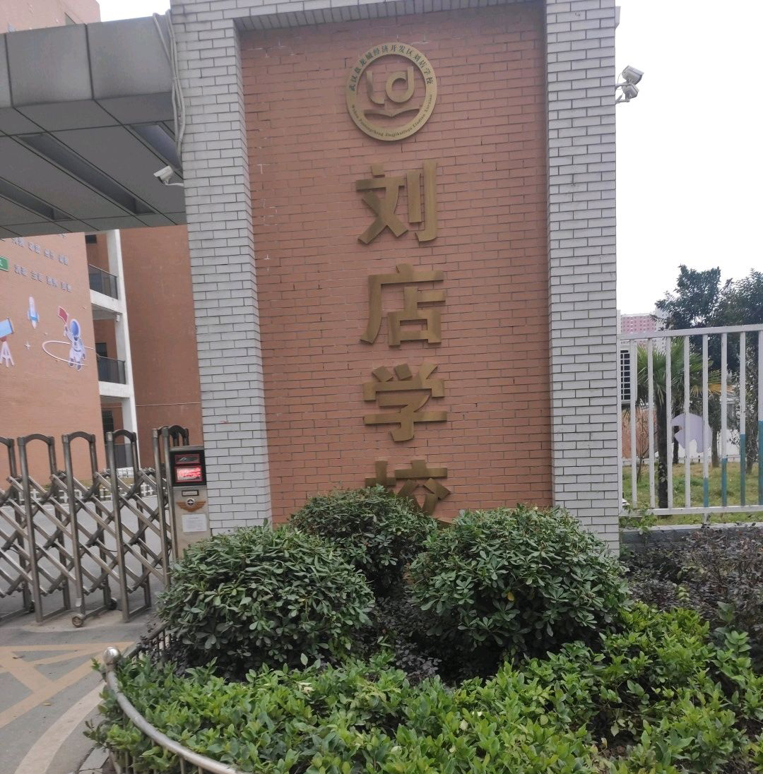 武汉盘龙城经济开发区刘店学校