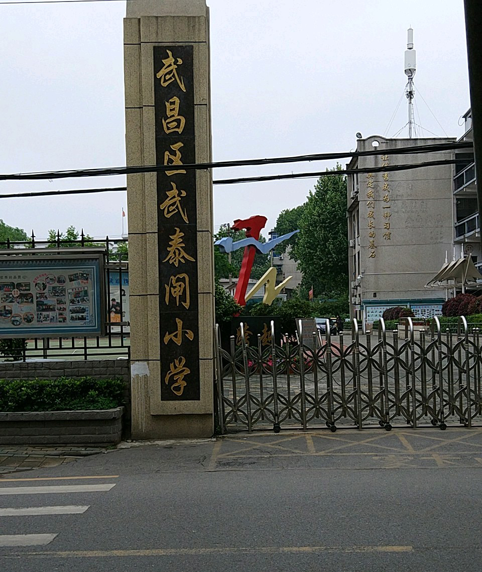 武昌区武泰闸小学