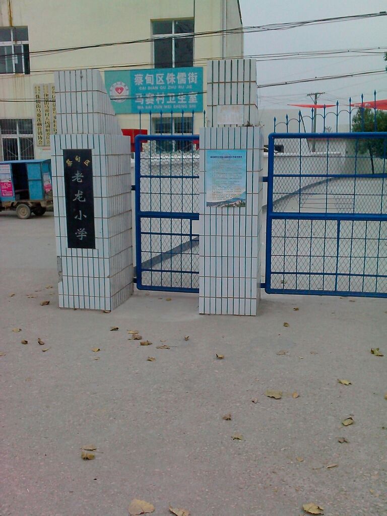 武汉市蔡甸区老龙小学