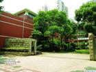 华东政法大学附属中学