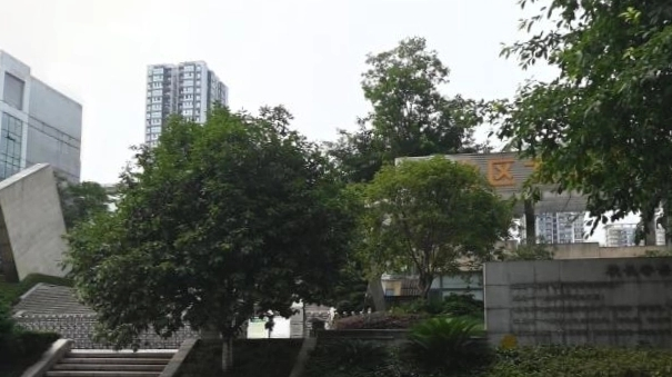 重庆市渝北区龙山小学校