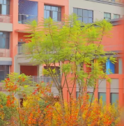 成都市新都区锦门小学校