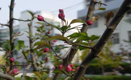 山东临沂二中