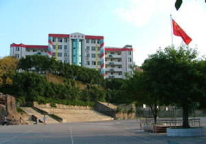 重庆市綦江区古南中学
