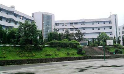 四川省安岳县李家中学