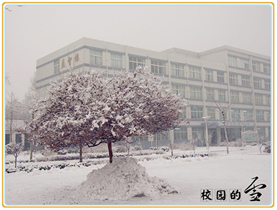 山东省高密市第二中学