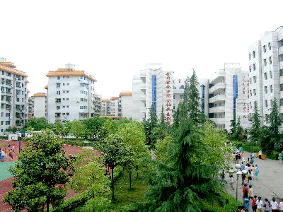 四川省绵阳市富乐实验中学