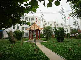 山东省济宁市任城区石桥中学