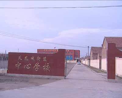 山东省利津县凤凰城街道中心学校
