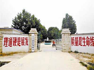 山东省东平县斑鸠店镇中学
