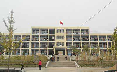 山东省新泰市龙廷镇中心学校