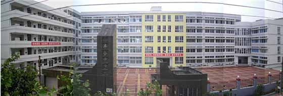 四川省绵阳市丰谷中学