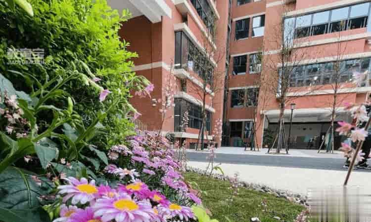 重庆市九龙坡区石新路小学校