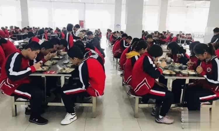 平阴县育才学校