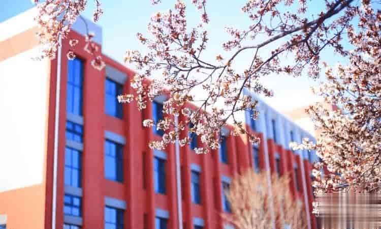 淄博实验中学