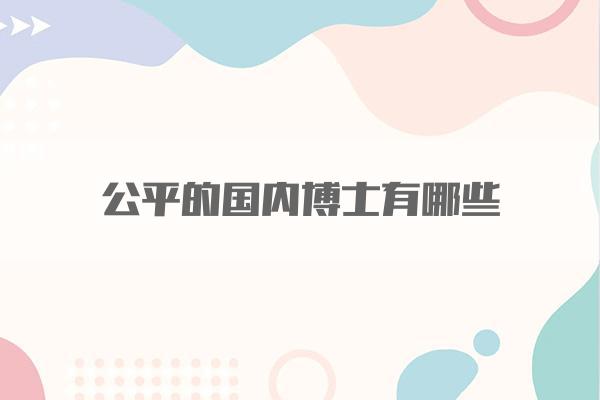 公平的国内博士有哪些