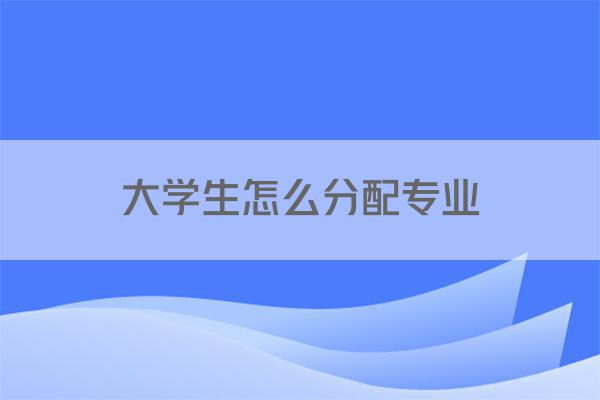 大学生怎么分配专业