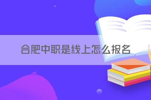 合肥中职是线上怎么报名