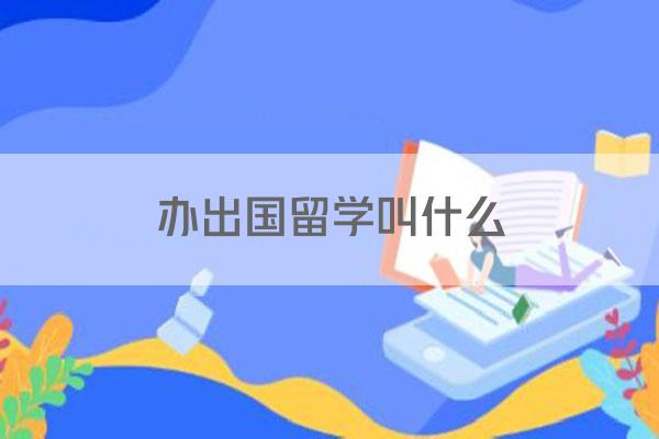 办出国留学叫什么