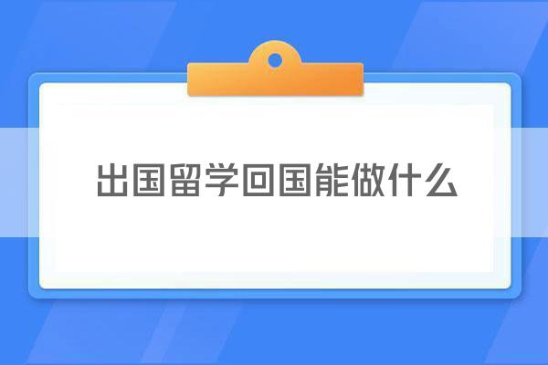 出国留学回国能做什么