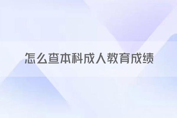 怎么查本科成人教育成绩
