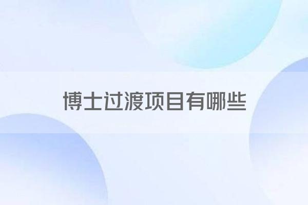 博士过渡项目有哪些