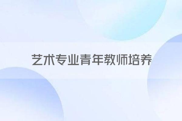 艺术专业青年教师培养