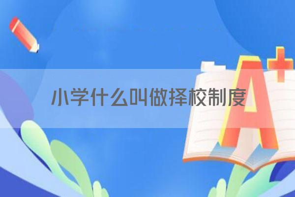 小学什么叫做择校制度