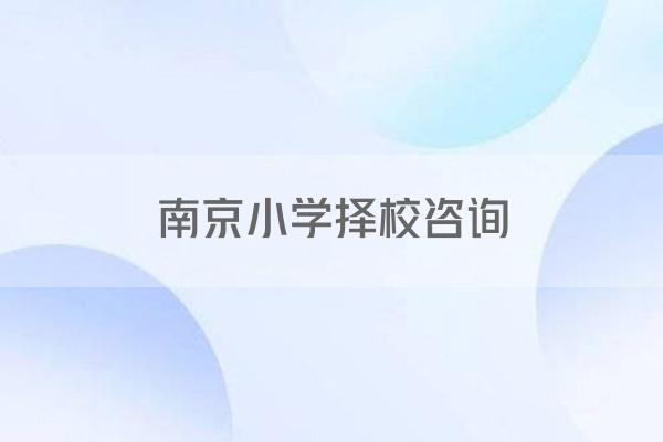 南京小学择校咨询