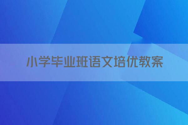 小学毕业班语文培优教案