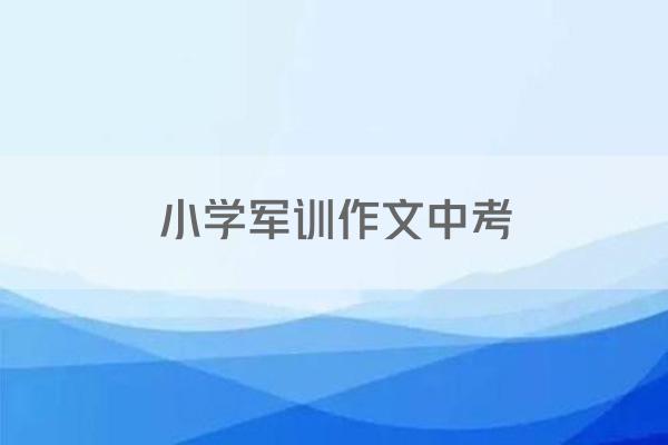 小学军训作文中考