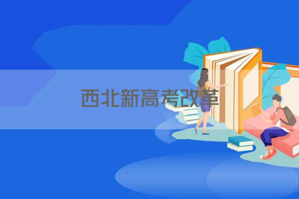 西北新高考改革