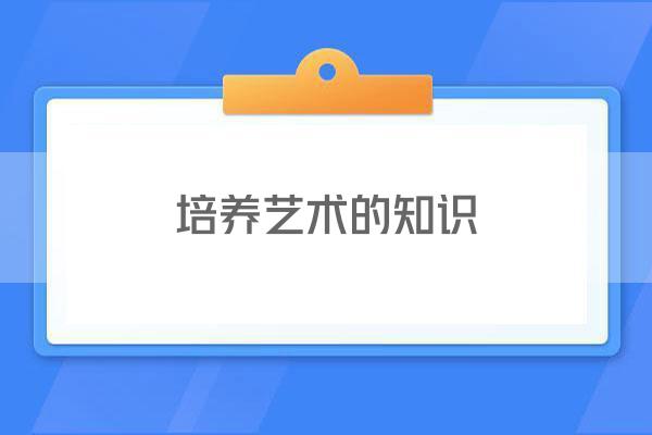 培养艺术的知识