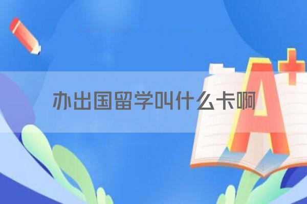 办出国留学叫什么卡啊