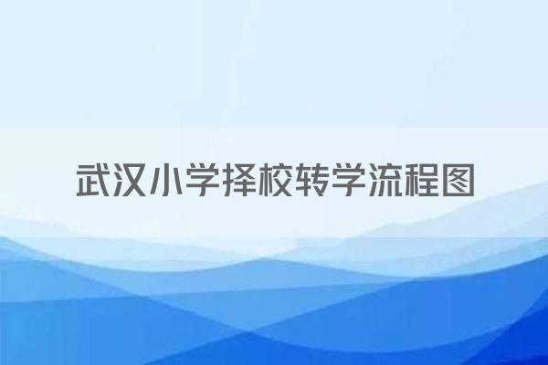 武汉小学择校转学流程图