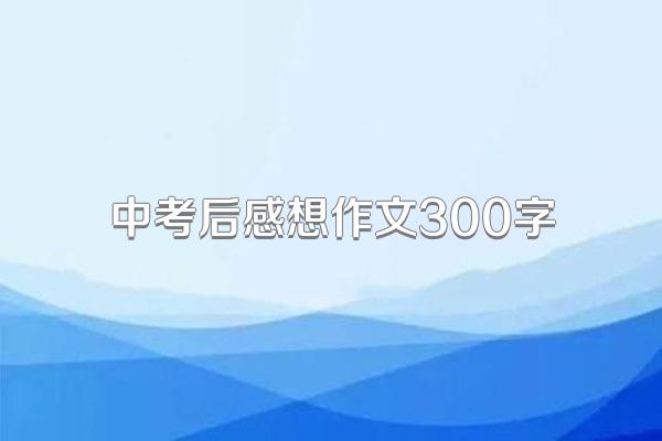 中考后感想作文300字