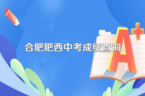 合肥肥西中考成绩查询