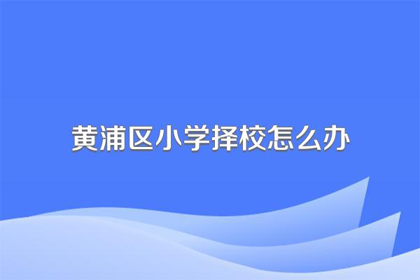 黄浦区小学择校怎么办
