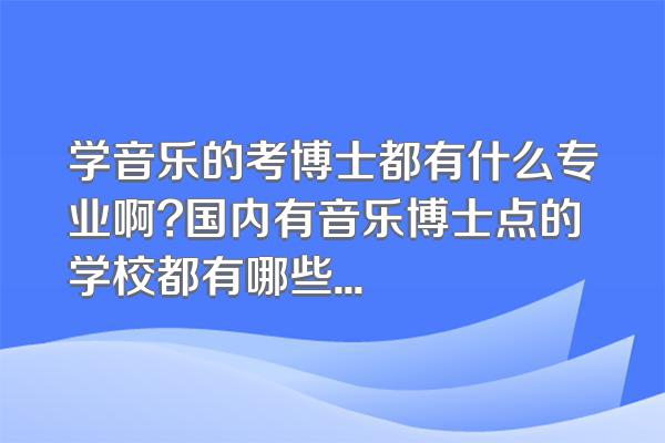 学音乐的考博士都有什么专业啊?国内有音乐博士点的学校都有哪些
