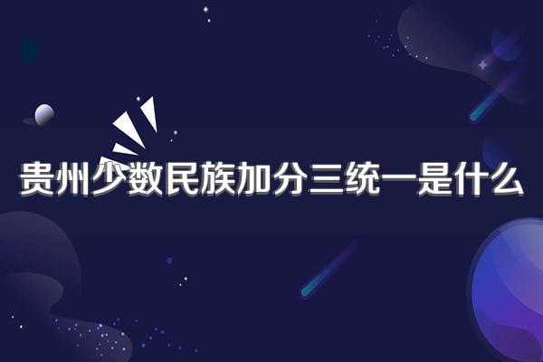 贵州少数民族加分三统一是什么